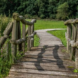 Gemeinsam unterwegs – Geführte Wanderung für Trauernde am 10.11.2018 Gemeinsam unterwegs – Geführte Wanderung für Trauernde am 10.11.2018