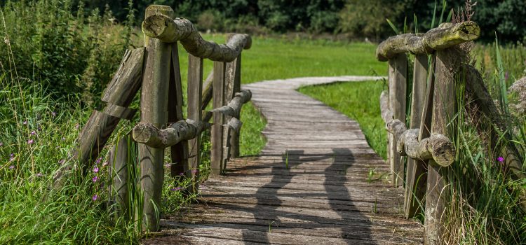 Trauerwanderung, Hospizhilfe Siegen, Caritasverband