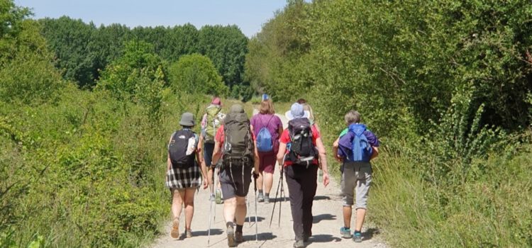 Lebens-Wege …und es geht weiter!