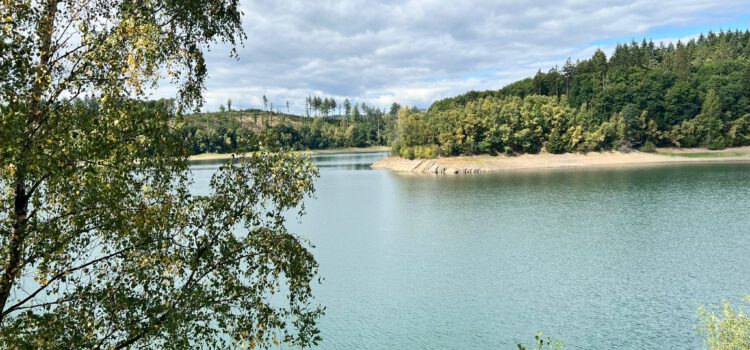 Einladung zur 1. Trauerwanderung 03-2026